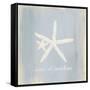 Imperial Starfish-Z Studio-Framed Stretched Canvas