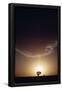 Essential Black