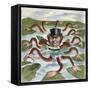 Imperialism Cartoon, 1882-null-Framed Stretched Canvas