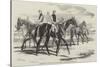 Imperieuse, the Winner of the St Leger Stakes, at the Doncaster Meeting, 1857-Harry Hall-Stretched Canvas