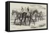 Imperieuse, the Winner of the St Leger Stakes, at the Doncaster Meeting, 1857-Harry Hall-Framed Stretched Canvas