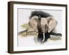 Imperiled-Barbara Keith-Framed Giclee Print