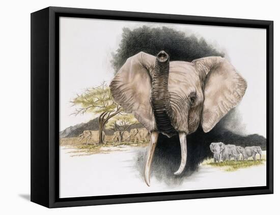 Imperiled-Barbara Keith-Framed Stretched Canvas