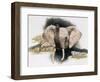 Imperiled-Barbara Keith-Framed Giclee Print