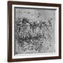 'Implements Rained Down the Earth from the Clouds', c1480 (1945)-Leonardo Da Vinci-Framed Giclee Print