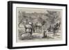 Imported American Elk, Wapiti, at Osmaston Manor, Derby-null-Framed Giclee Print