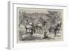 Imported American Elk, Wapiti, at Osmaston Manor, Derby-null-Framed Giclee Print