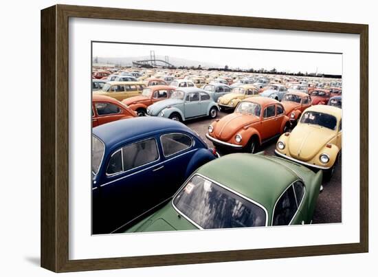 Imported Volkswagen Beetles on an American Pier in 1970s-null-Framed Photo