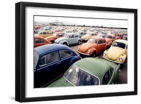 Imported Volkswagen Beetles on an American Pier in 1970s-null-Framed Photo