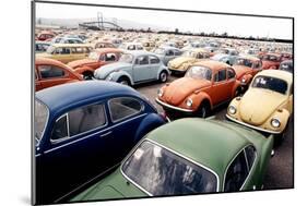 Imported Volkswagen Beetles on an American Pier in 1970s-null-Mounted Photo