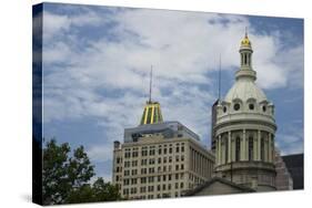 Imposing Architecture of the Baltimore City Hall-Jerry Ginsberg-Stretched Canvas