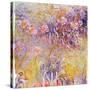 Impression: Flowers-Claude Monet-Stretched Canvas