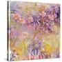 Impression: Flowers-Claude Monet-Stretched Canvas