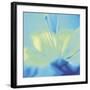 Impression Lily-Jane Ann Butler-Framed Giclee Print