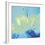 Impression Lily-Jane Ann Butler-Framed Giclee Print