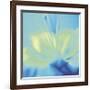 Impression Lily-Jane Ann Butler-Framed Giclee Print