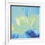 Impression Lily-Jane Ann Butler-Framed Giclee Print