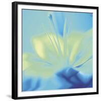 Impression Lily-Jane Ann Butler-Framed Giclee Print