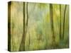 Impression of an Autumn Forest, North Lanarkshire, Scotland, UK, 2007-Niall Benvie-Stretched Canvas