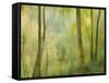 Impression of an Autumn Forest, North Lanarkshire, Scotland, UK, 2007-Niall Benvie-Framed Stretched Canvas