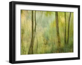 Impression of an Autumn Forest, North Lanarkshire, Scotland, UK, 2007-Niall Benvie-Framed Photographic Print