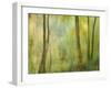 Impression of an Autumn Forest, North Lanarkshire, Scotland, UK, 2007-Niall Benvie-Framed Photographic Print