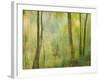 Impression of an Autumn Forest, North Lanarkshire, Scotland, UK, 2007-Niall Benvie-Framed Photographic Print