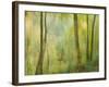 Impression of an Autumn Forest, North Lanarkshire, Scotland, UK, 2007-Niall Benvie-Framed Photographic Print