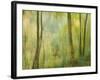 Impression of an Autumn Forest, North Lanarkshire, Scotland, UK, 2007-Niall Benvie-Framed Photographic Print