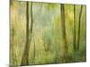 Impression of an Autumn Forest, North Lanarkshire, Scotland, UK, 2007-Niall Benvie-Mounted Photographic Print