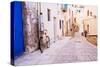 Impression of Levanzo (Island), Aegadian Islands, Italy-Thomas Ebelt-Stretched Canvas