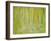 Impression of the Rain Forest, 1991-Laila Shawa-Framed Giclee Print