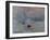 Impression, Rising Sun-Claude Monet-Framed Art Print