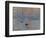 Impression: Sunrise, 1872-Claude Monet-Framed Premium Giclee Print