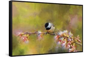 Impressionist Chickadee-Jai Johnson-Framed Stretched Canvas