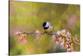 Impressionist Chickadee-Jai Johnson-Stretched Canvas