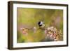 Impressionist Chickadee-Jai Johnson-Framed Giclee Print