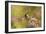 Impressionist Chickadee-Jai Johnson-Framed Giclee Print