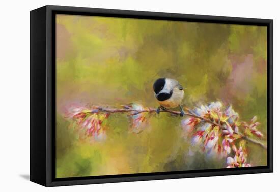 Impressionist Chickadee-Jai Johnson-Framed Stretched Canvas