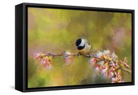 Impressionist Chickadee-Jai Johnson-Framed Stretched Canvas