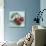 Impressionist Fruit Study IV-Ethan Harper-Art Print displayed on a wall