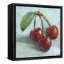 Impressionist Fruit Study IV-Ethan Harper-Framed Stretched Canvas