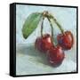 Impressionist Fruit Study IV-Ethan Harper-Framed Stretched Canvas