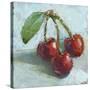 Impressionist Fruit Study IV-Ethan Harper-Stretched Canvas