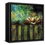 Impressionist Lily I-Danielle Harrington-Framed Stretched Canvas