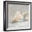 Impressionist Shell Study I-Ethan Harper-Framed Art Print