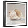 Impressionist Shell Study IV-Ethan Harper-Framed Art Print