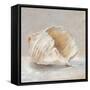 Impressionist Shell Study IV-Ethan Harper-Framed Stretched Canvas