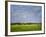 Impressionistic Harvest Field and Truck-Robert Cattan-Framed Photographic Print