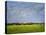 Impressionistic Harvest Field and Truck-Robert Cattan-Stretched Canvas